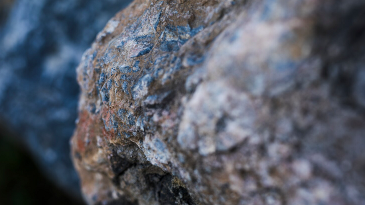 Homo erectus выбирали камни с жеодами и окаменелостями ради связи с космосом Учёные выяснили, что Homo erectus могли специал...