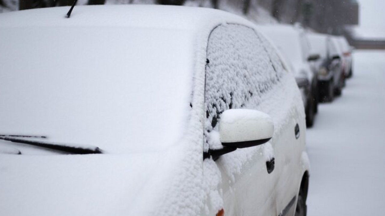 Циклон "Фрэнсис", прошедший в начале января по ...