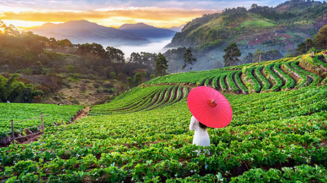 Россияне увеличивают поездки в Китай, Вьетнам и...