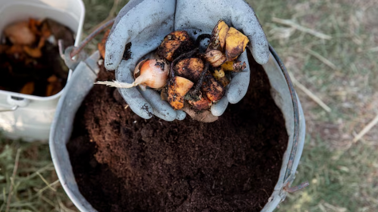 Секрет умного садовода: Как ноябрьское удобрени...