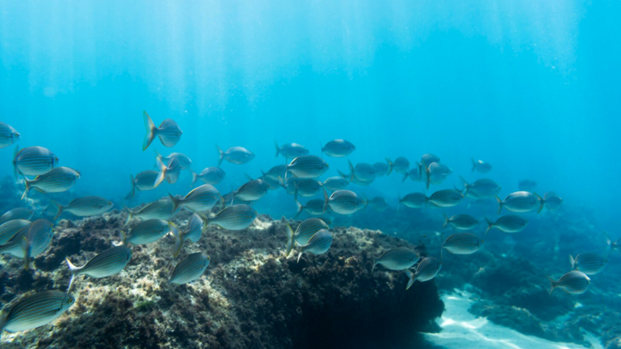 Группа исследователей под руководством Анны Яжд...