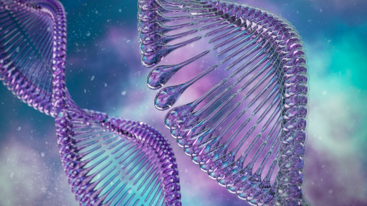 Физическая и умственная активность родителей мо...