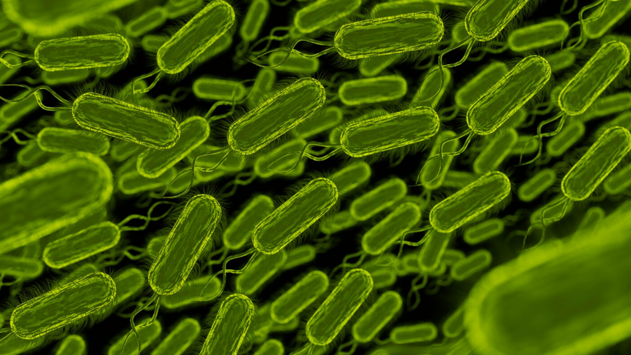 26 новых бактерий обнаружены в стерильных лабораториях NASA В лабораториях NASA, где соблюдается строгая ст...