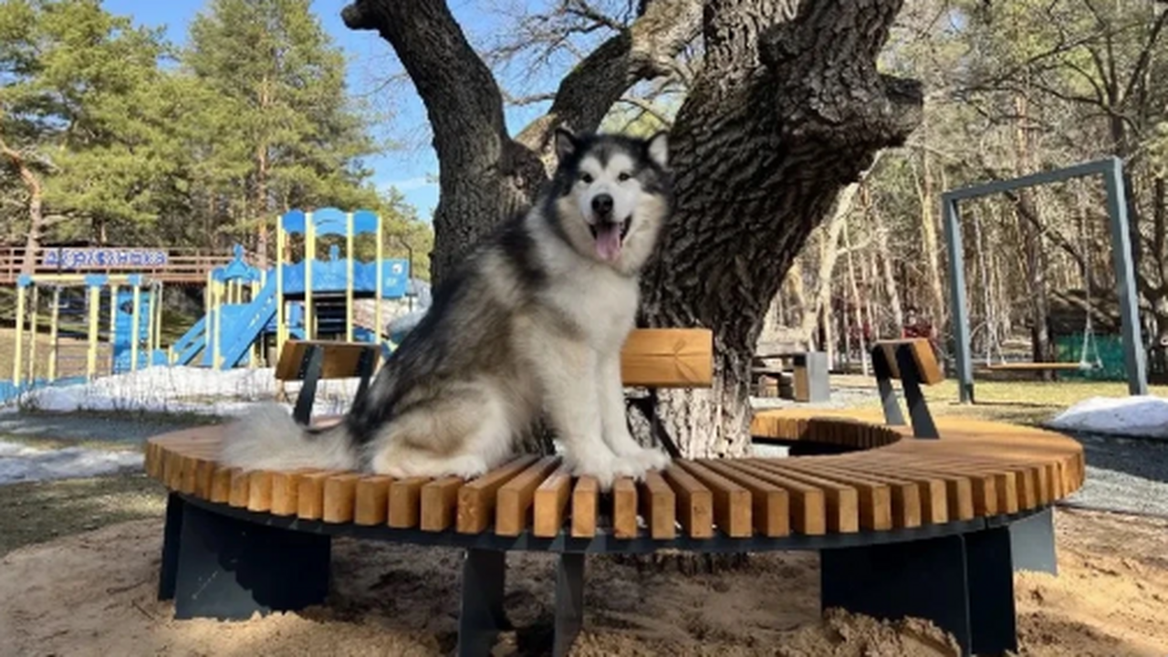 В Самарской области продолжается прием заявок н...