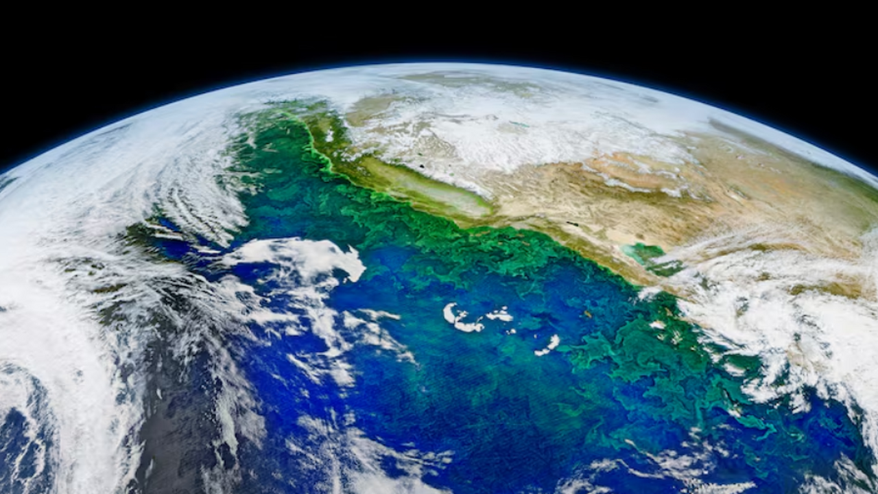 Новое исследование древней ДНК выявило, что имм...