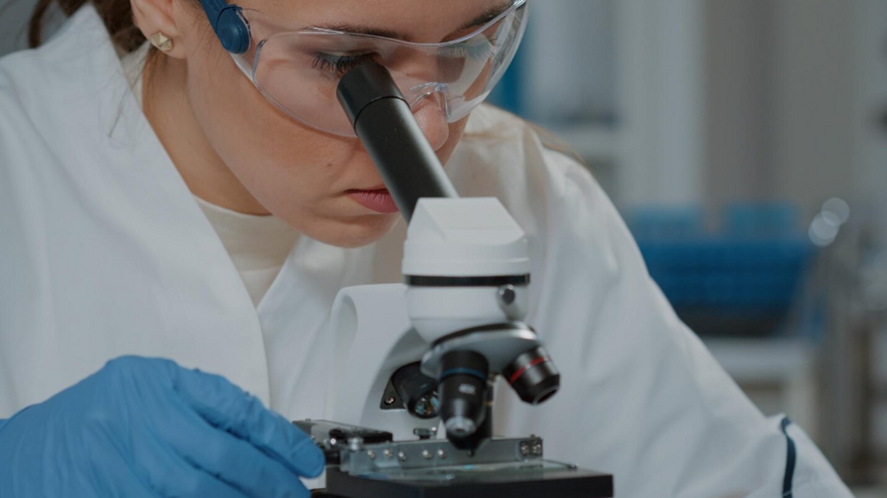 Microcystis aeruginosa: в Мещерском пруду нашли токсичные цианобактерии Российские учёные сообщили о выявлении в москов...