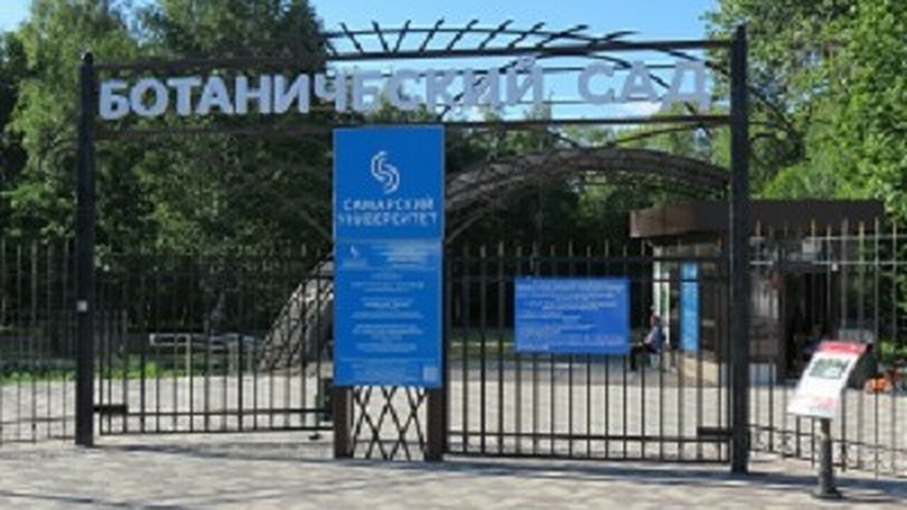 В день открытия посетителей ждет специальная пр...