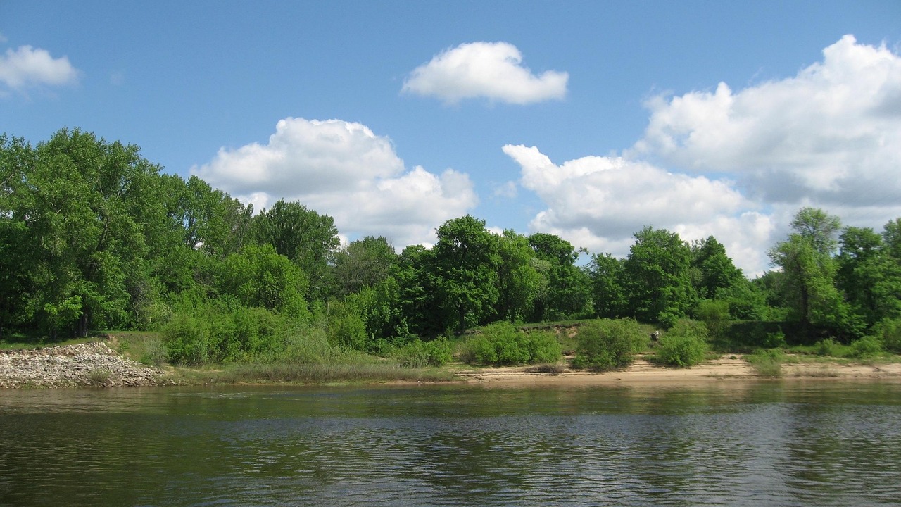 В Сызрани из частной собственности изъяли часть береговой полосы по решению суда Самарский областной суд удовлетворил требования...