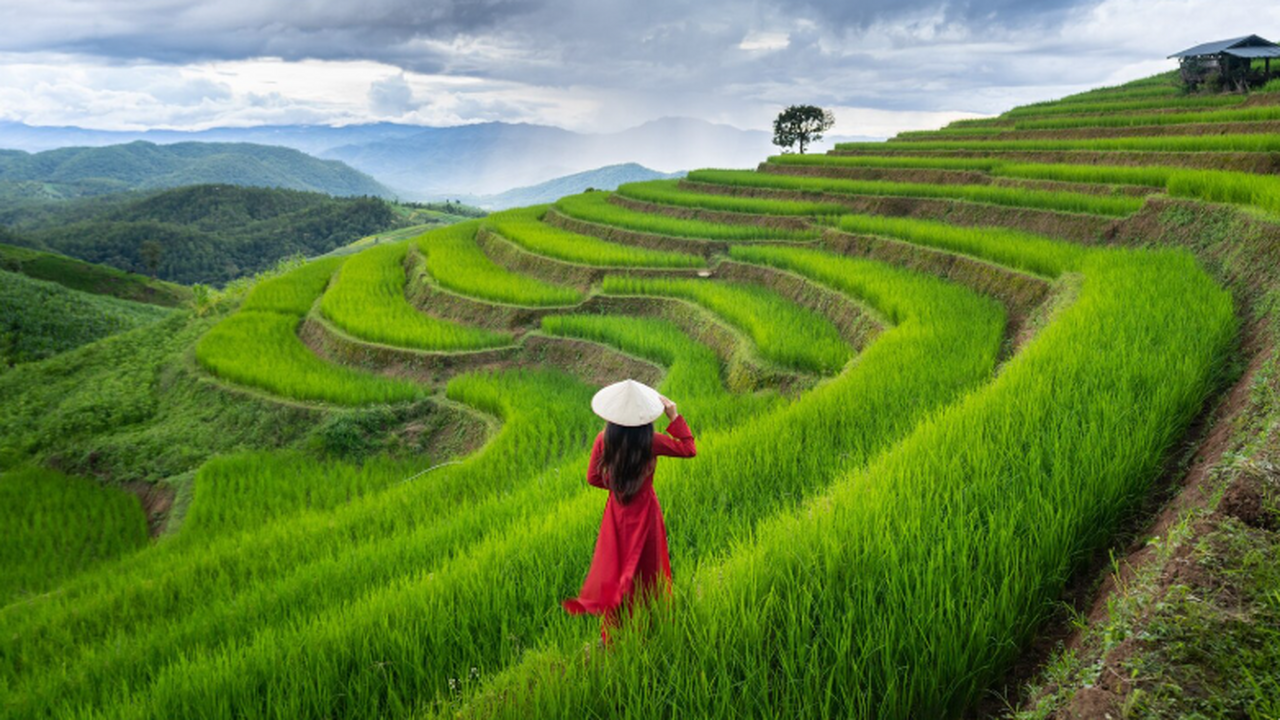 В Нячанге усилили контроль за русскими туристам...