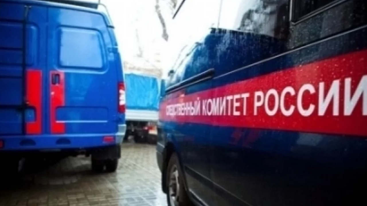 Зажали и протащили до конца. Подробности страшной смерти женщины в Самарской области В Самарской области завершено расследование гиб...