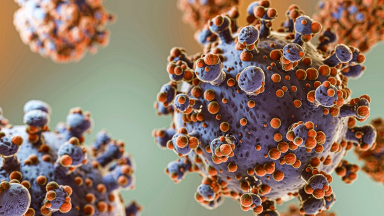 Прошло исследование: уже в 2026 году «Болезнь X» грозит миру новой пандемией Издание Daily Star со ссылкой на экспертов прог...