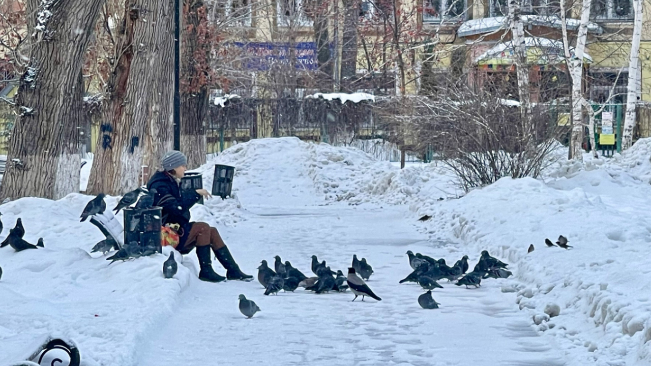 Прогнозы на февраль предсказывают значительные ...