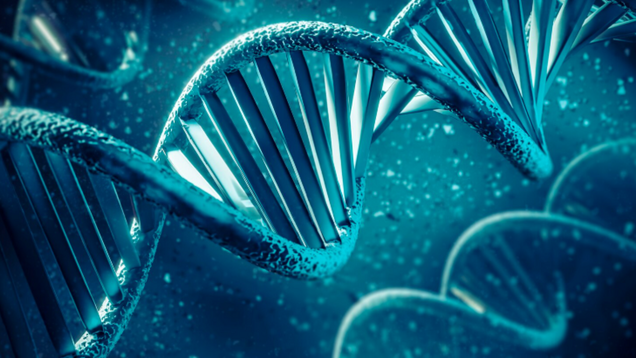 Ученые из Шанхайского университета Цзяотун созд...