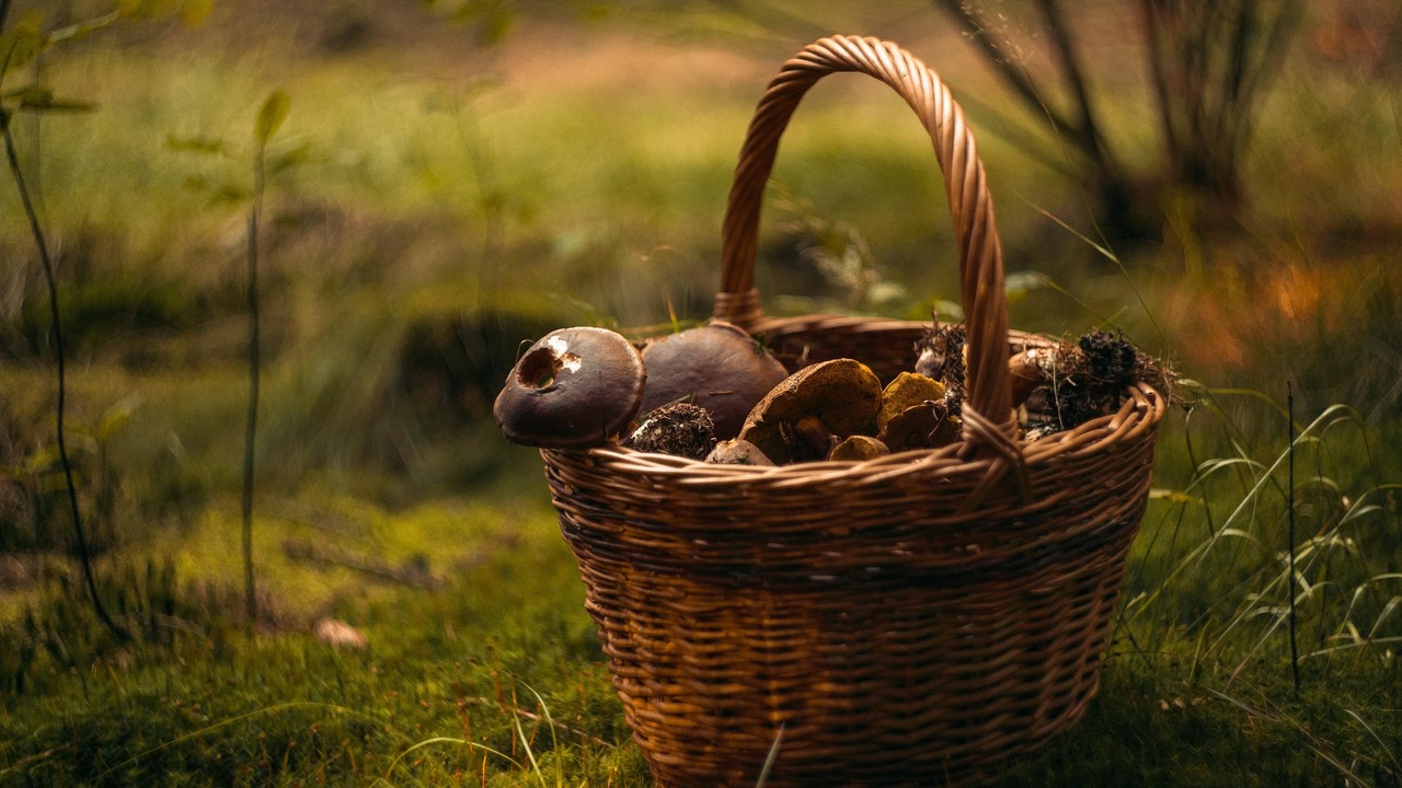 Максимальное наказание включает лишение свободы...