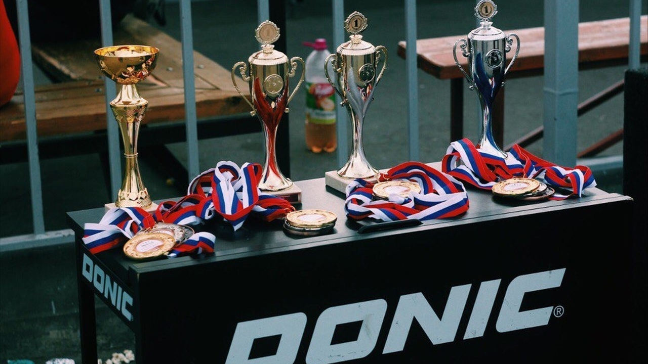 Самарец Шамиль Гимаев и его команда завоевали золотые медали на Кубке Европы по силовым видам спорта. Мастер спорта международного класса, артист, об...