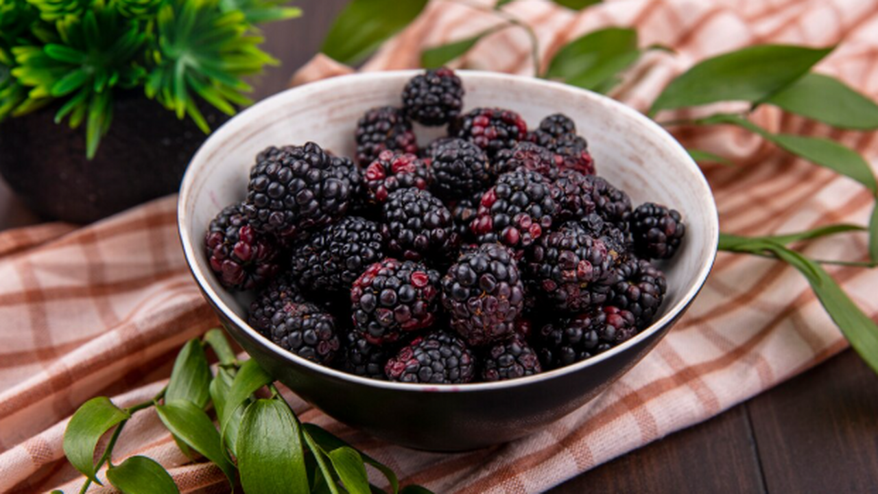 Если ежевика не вызревает: причина может быть единственная — как спасать куст в ноябре Поздний урожай у ежевики чаще всего не «карма»,...