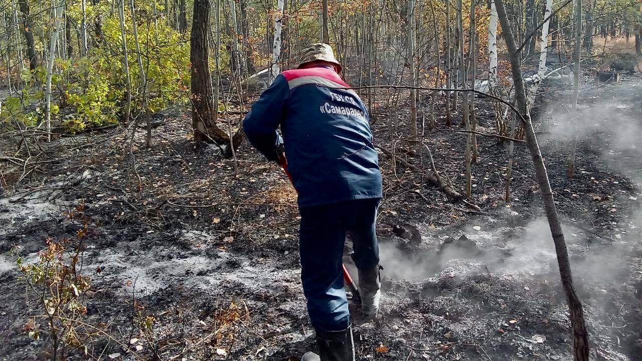 Об этом сообщило региональное Минприроды