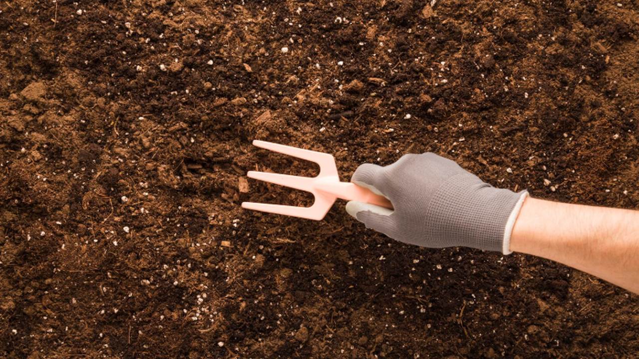 Факультет почвоведения МГУ выяснил, что состоян...