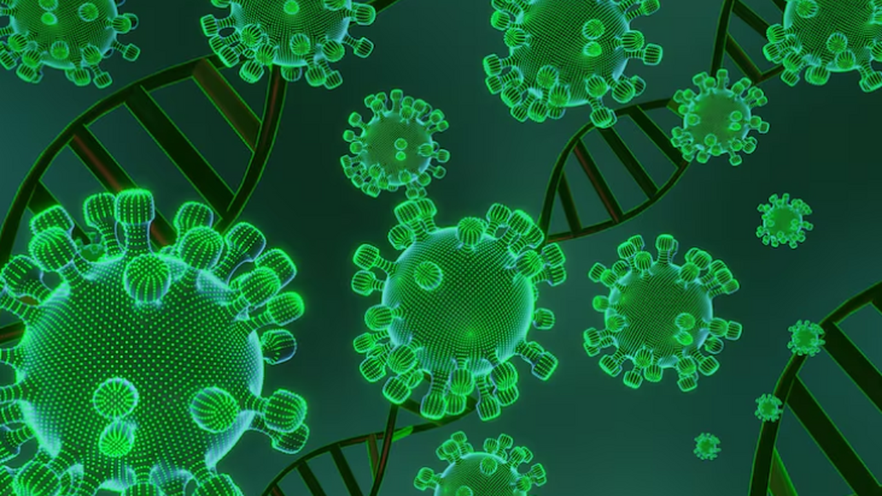 Инфекционисты из Сингапура проследили домашнюю ...