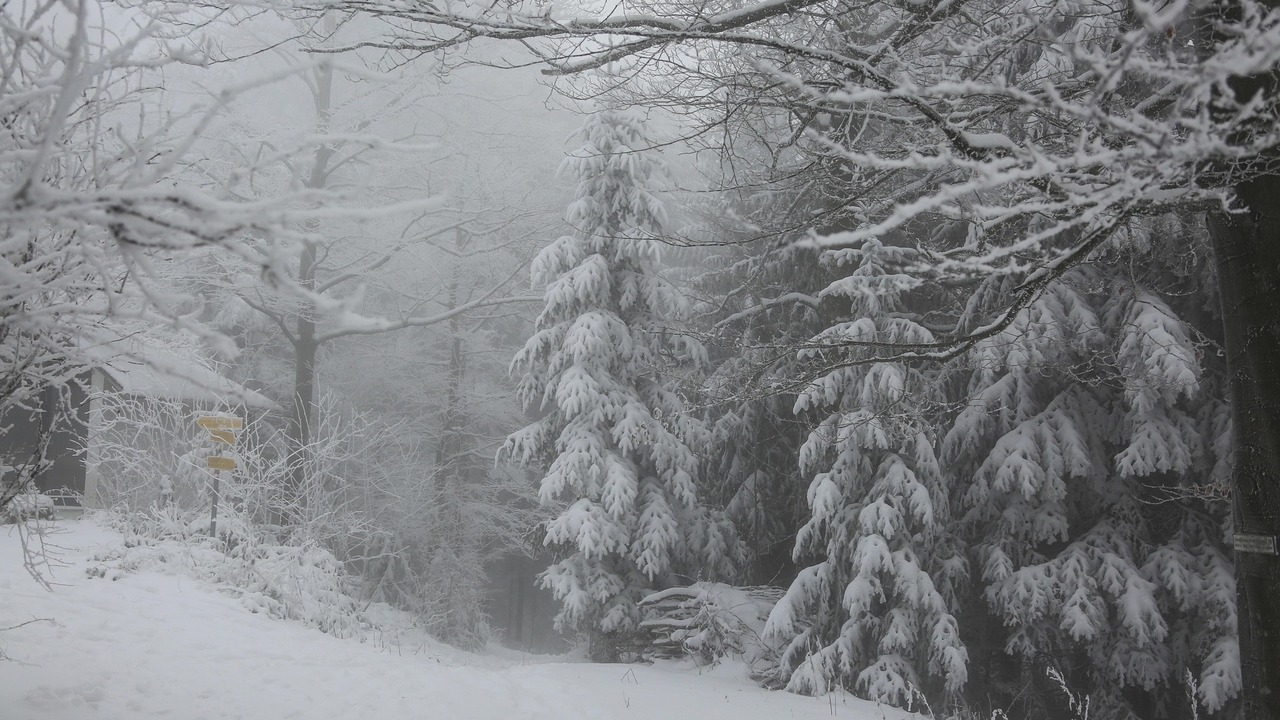 Предупреждение опубликовано ГУ МЧС РФ по Самарс...