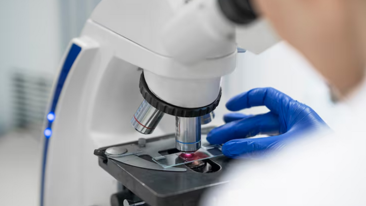 Дагестанские ученые исследуют мертвых птиц на К...