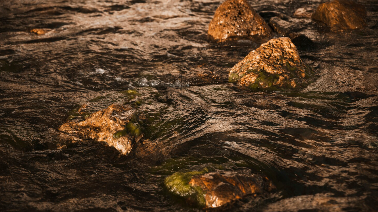 Жители и учёные Аляски всё чаще сообщают о река...