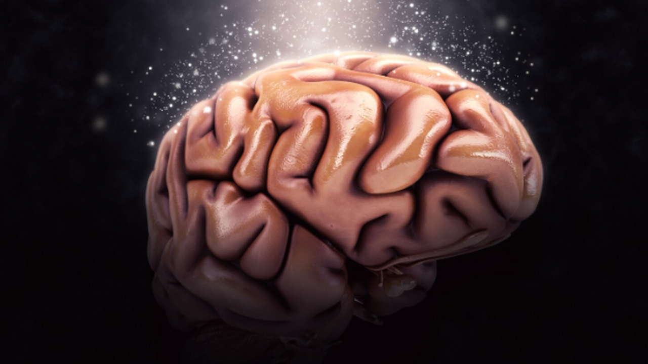 В Новосибирске разрабатывают комплексную компью...