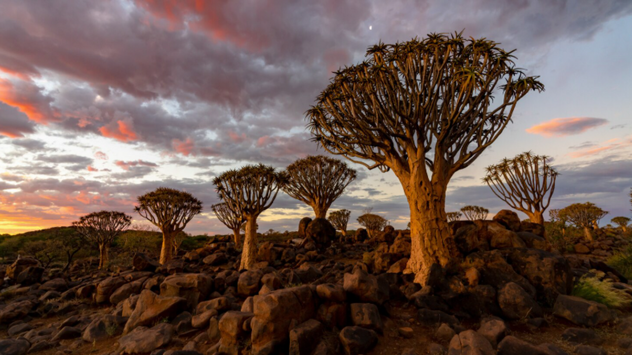 Российские туристы всё чаще выбирают Африку: но...