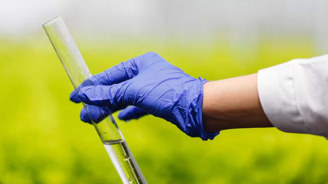 КБГУ и ИНХС РАН представили новый материал для ...