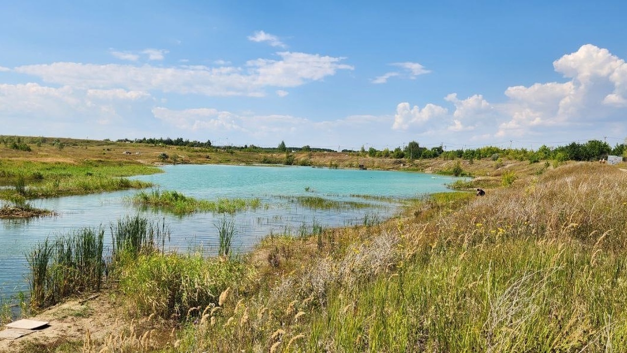 В Самарской области расчищено 200 км берегов в рамках акции «Вода России». 26 августа 2025 года в Волжском муниципальном р...