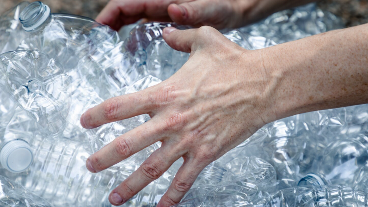 Новое исследование, опубликованное в журнале En...