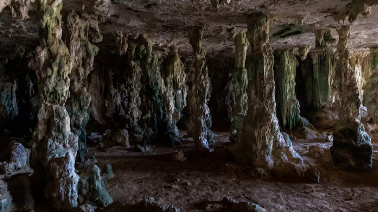 Исследование Geology показало, что хемосинтетич...