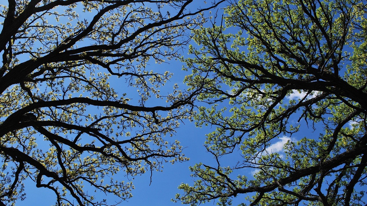 Таким образом, исковые требования застройщиков ...