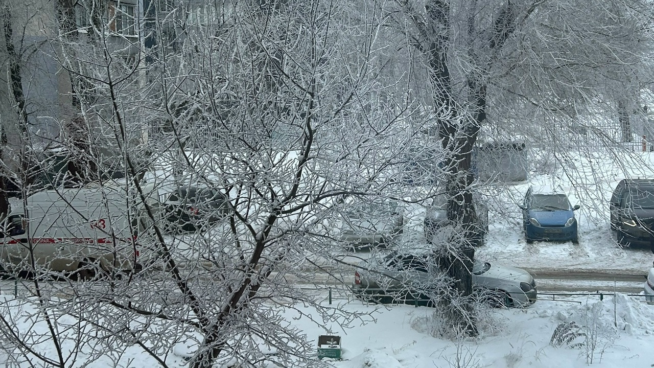 Неделя в Самарской области принесет 3-дневные морозы и сильный ветер в выходные Погода будет характеризоваться перепадами