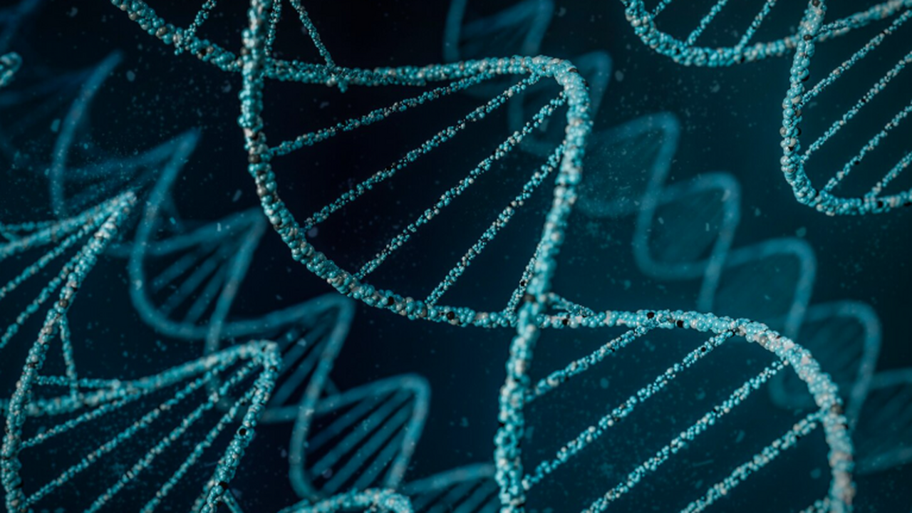 Подавление гена Homer1 в детстве усилило внимание мышей Ученые выяснили, что вмешательство в работу одн...