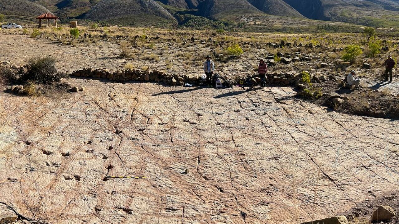 В CarrerasPampa нашли более 16 тысяч следов тер...