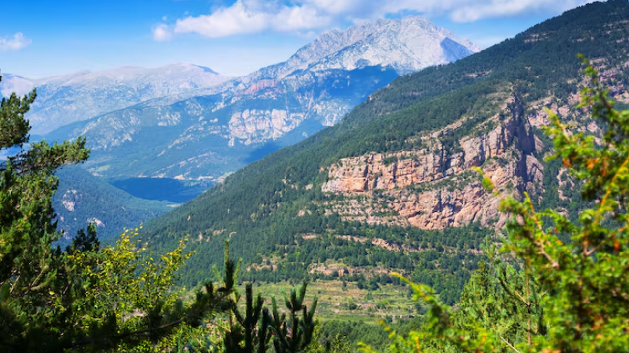 Туроператоры фиксируют падение спроса на поездк...