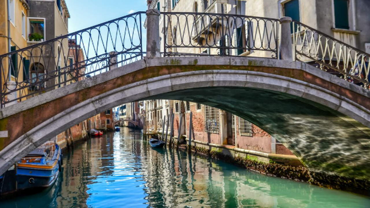 В Венецианской лагуне зафиксирован массовый всп...