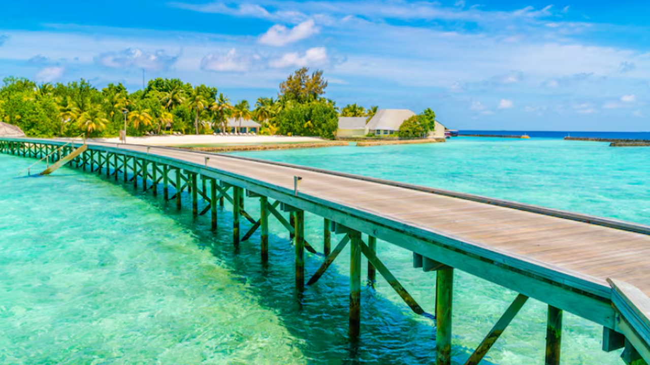 Вирус Денге диагностировали у туристки из Иркутска после поездки на Мальдивы Сообщили о случае заражения лихорадкой денге у ...