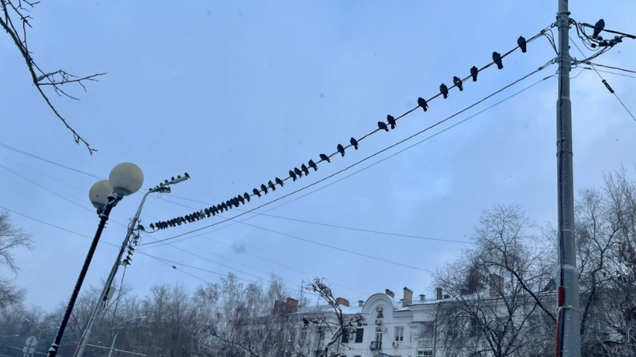 Однако нельзя полностью исключать возможность к...