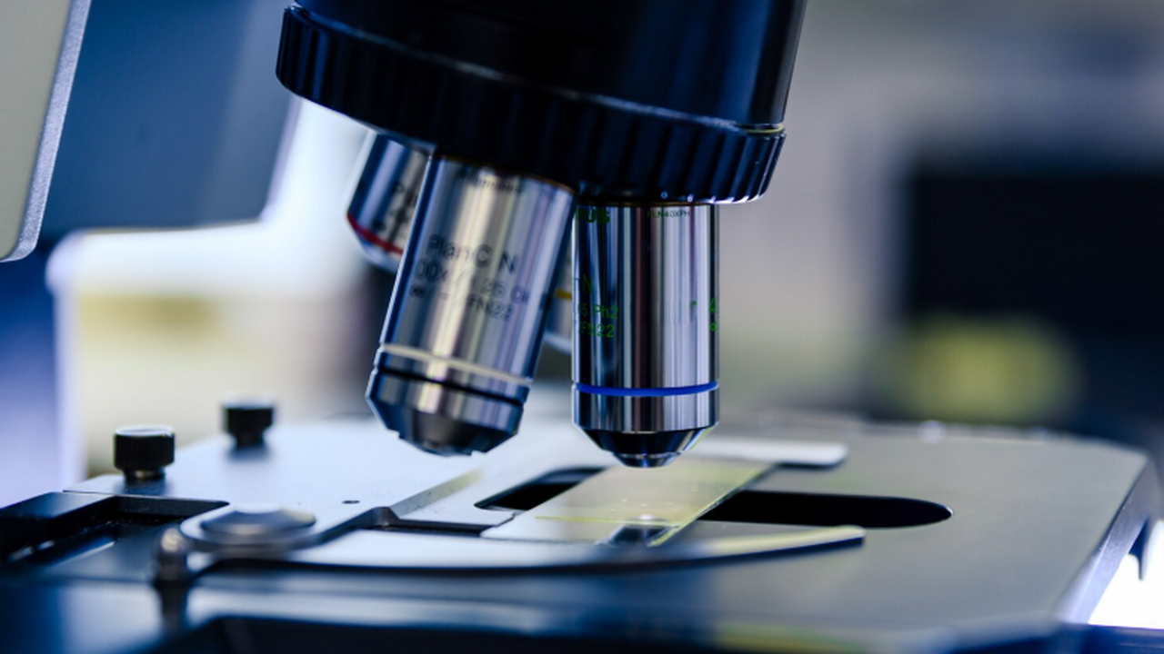 Модифицированный белок DARPin повысил эффективность диагностики рака Ученые Томского политехнического университета м...