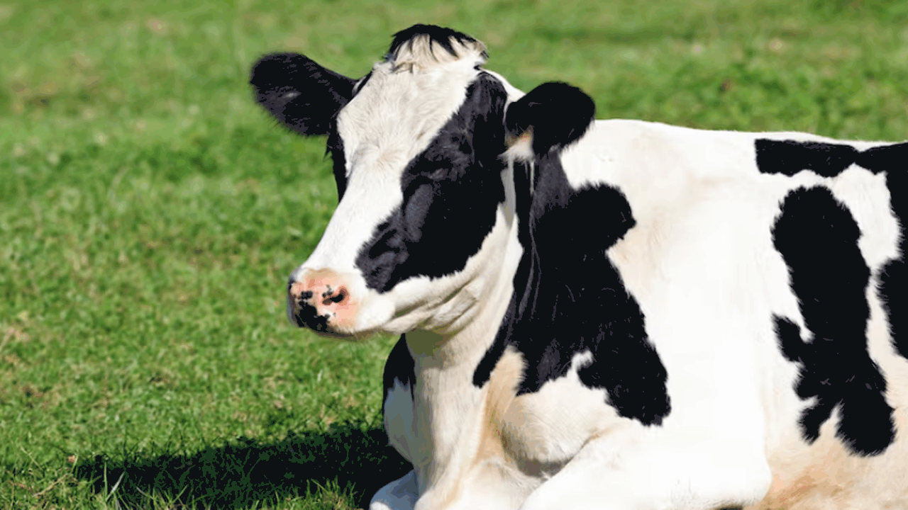 В Самарской области в Стройкерамике выявили всп...