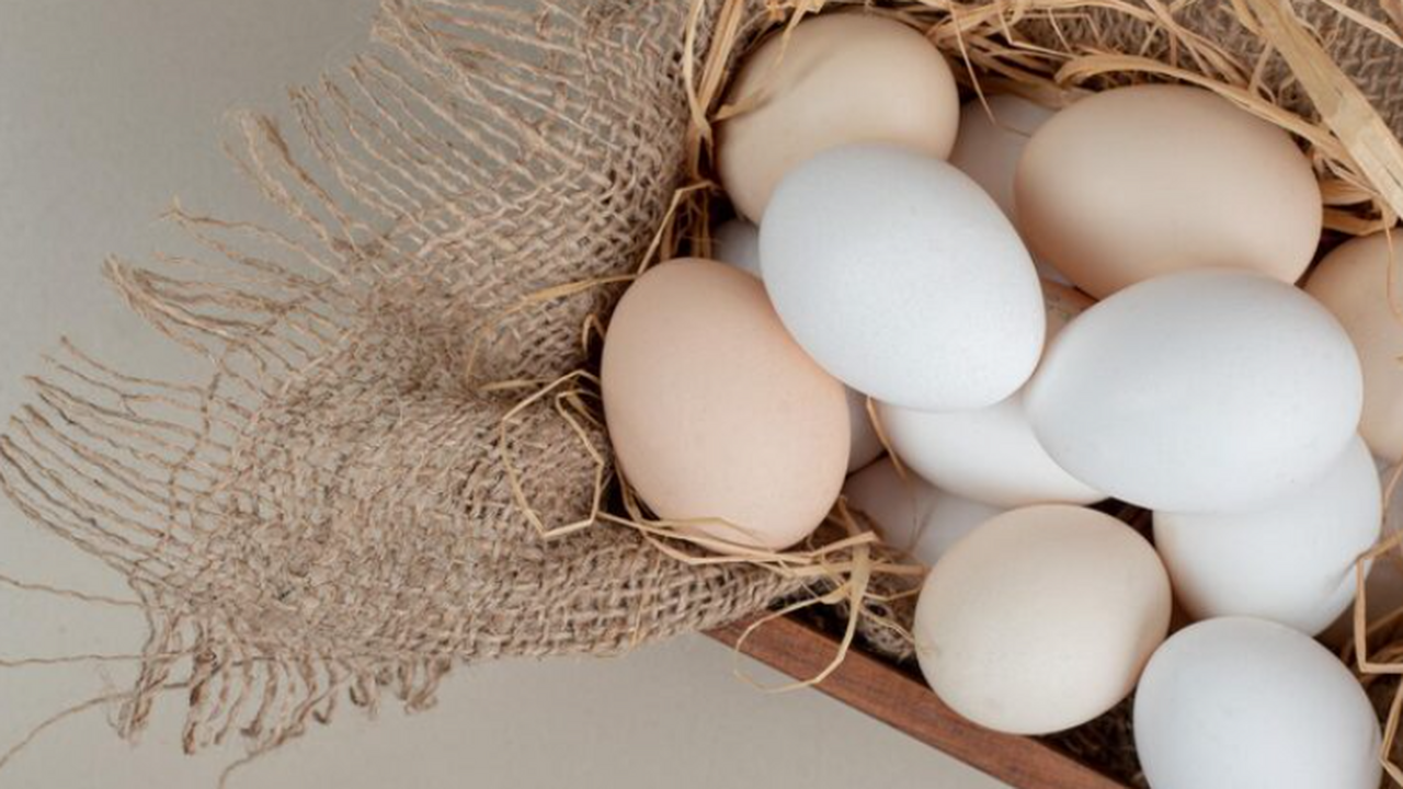 Врач Белоусова: яйца содержат полный набор незаменимых аминокислот Маргарита Белоусова рассказала, что яйца богаты...