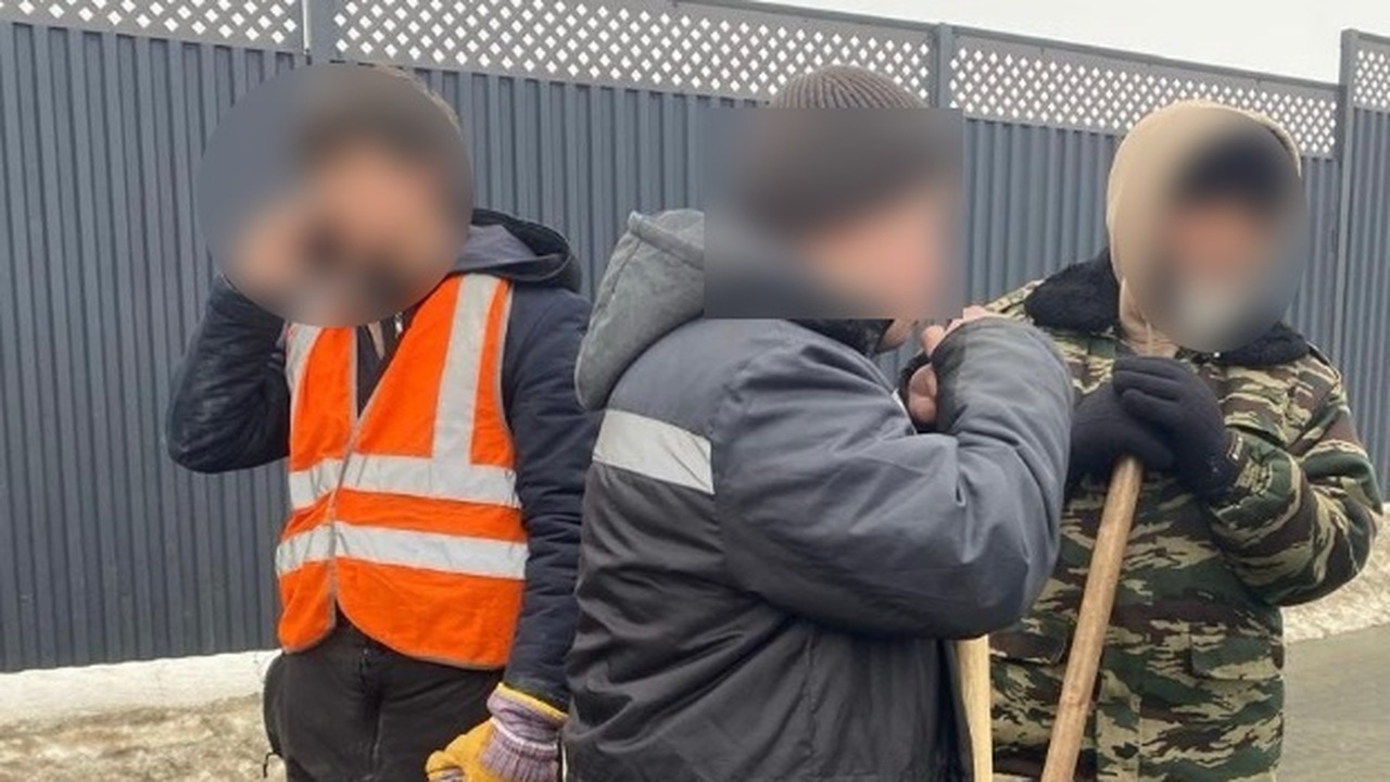 За нелегалов компания выплатит штраф в 650 тыся...