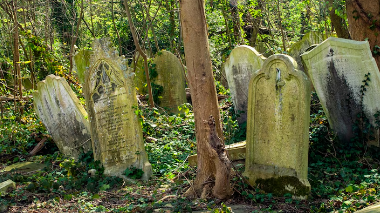 Погребальный инвентарь из бюстума в Ламонзи‑Сен...