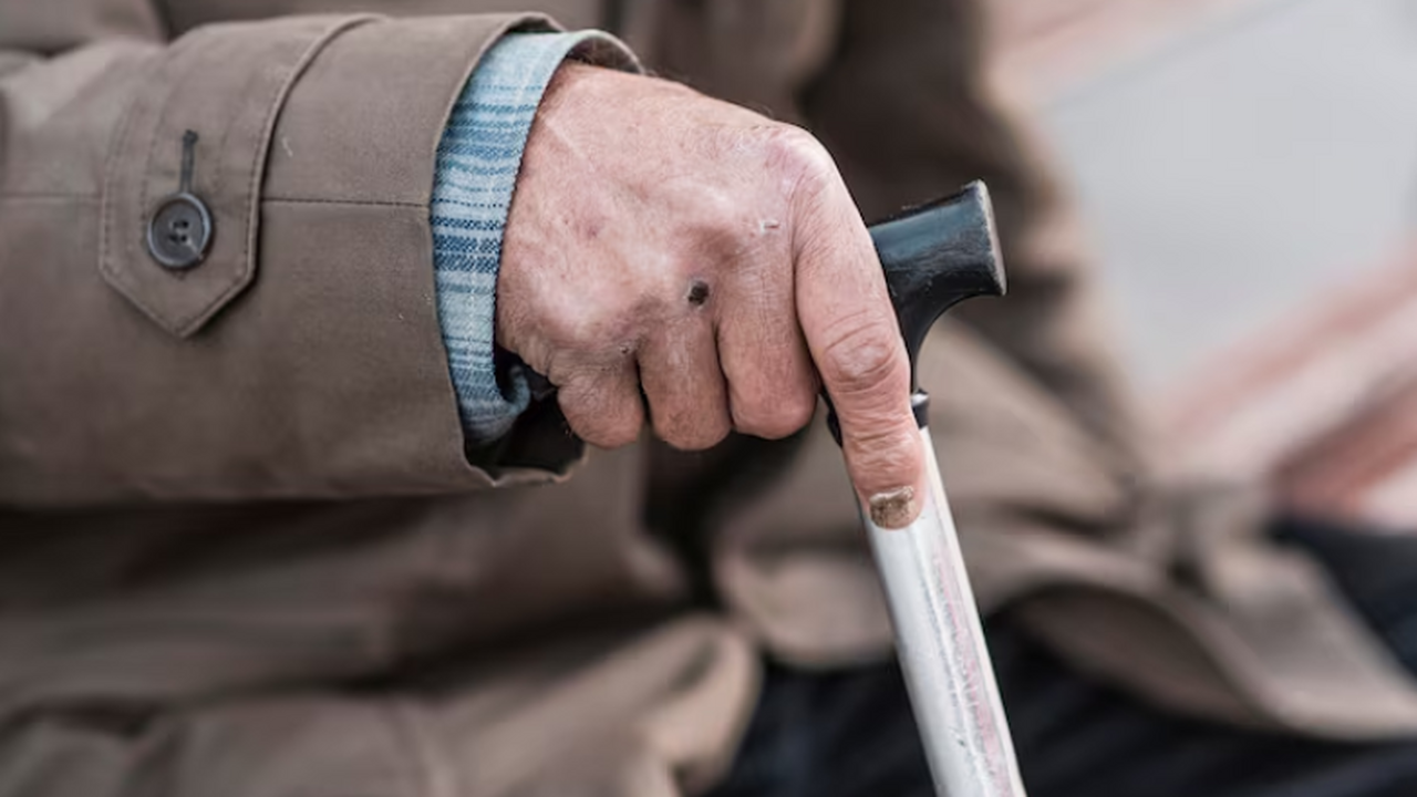 Исследование учёных США показало, как старение ...