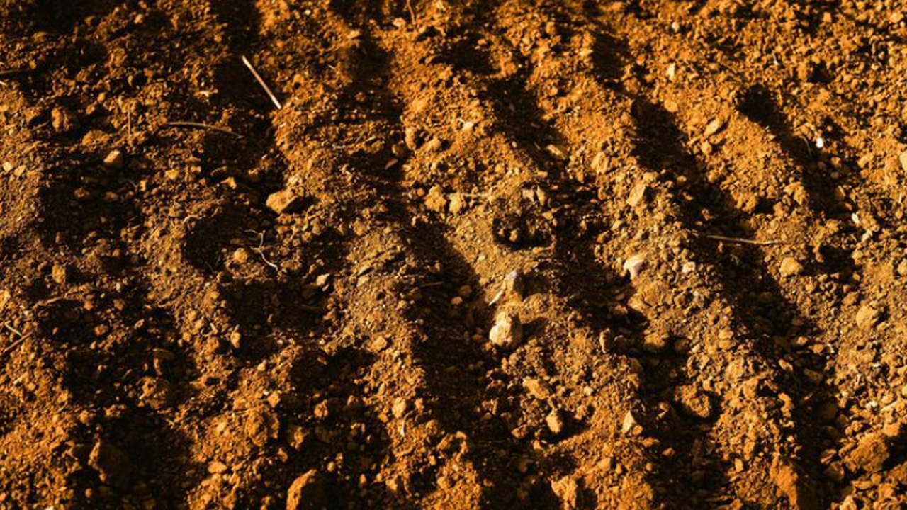 КНЦ РАН обнаружил в Мурманской области бактерии...