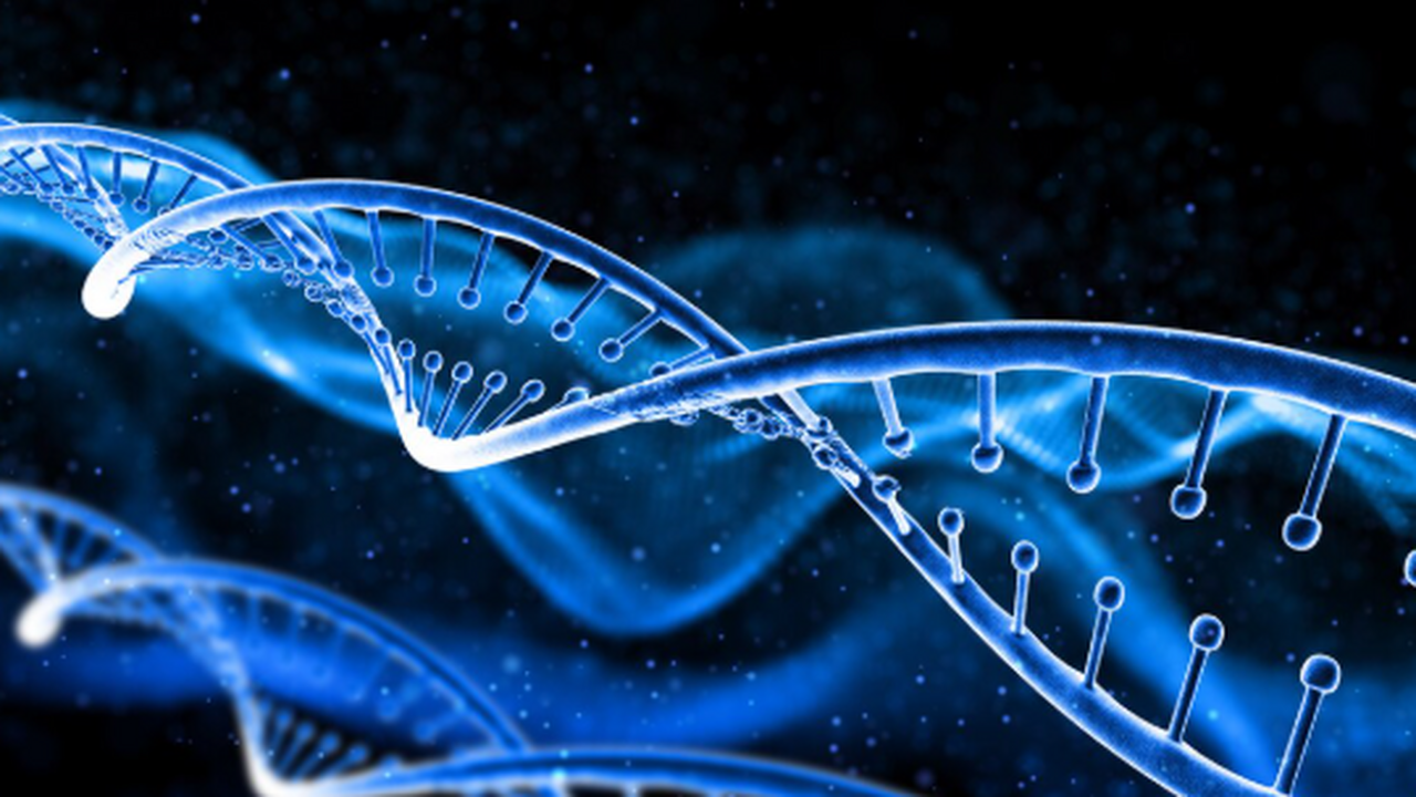 Science Advances: биологи обнаружили изменения в языке народов на уровне ДНК биологи обнаружили изменения в языке народов на...