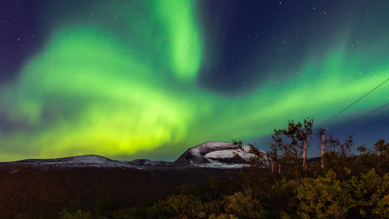 Ambio: полярные изменения усиливают глобальные риски для здоровья Изменения в Арктике и Антарктике усиливают возд...