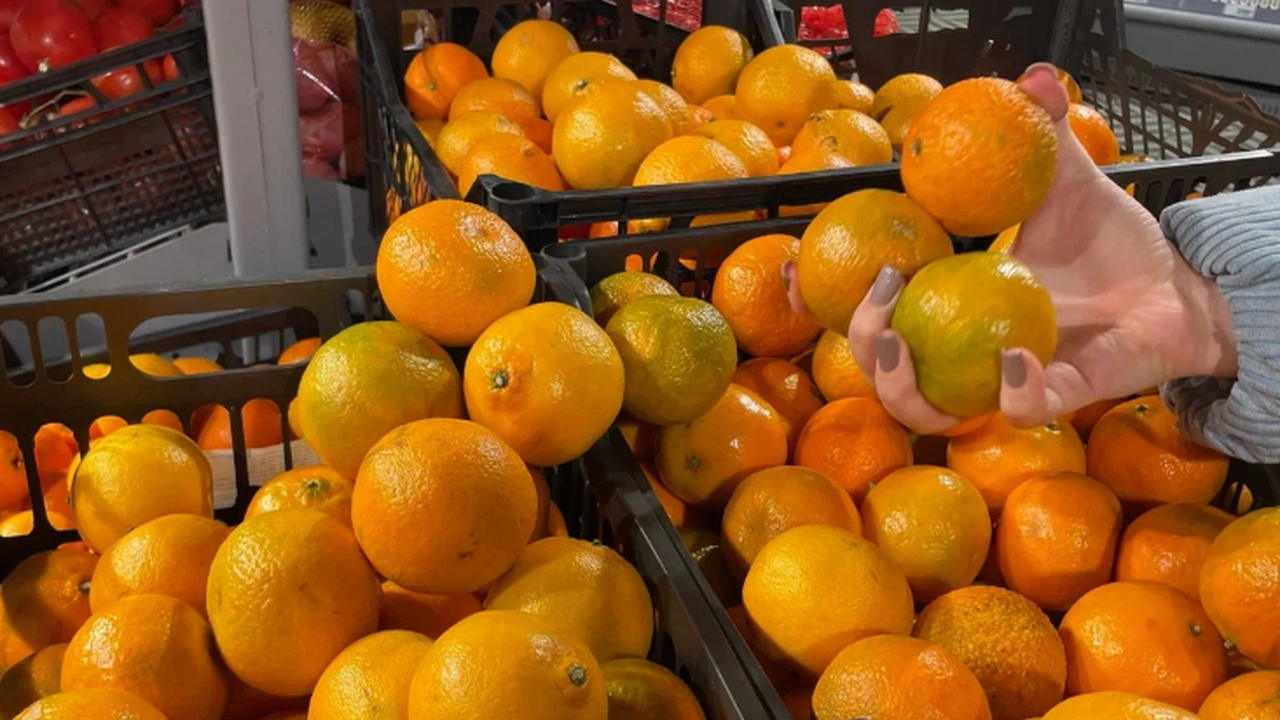 Россияне скупают копеечные мандарины в этих точках: где купить по 100 рублей и дешевле к Новому году Мандарины по 100 рублей: почему они такие дешёв...